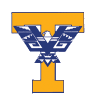 Timpview