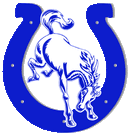 Centennial logo